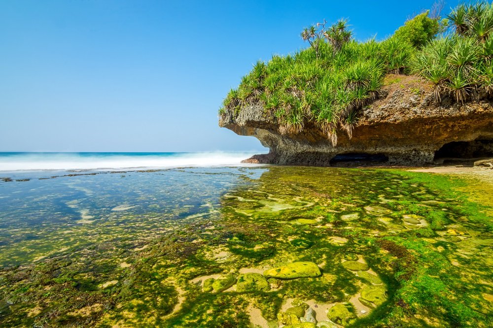 5 Tempat Unik dengan Aktivitas yang Menantang dan Mendebarkan di Pantai sekitar Yogyakarta 4 Pantai Krakal