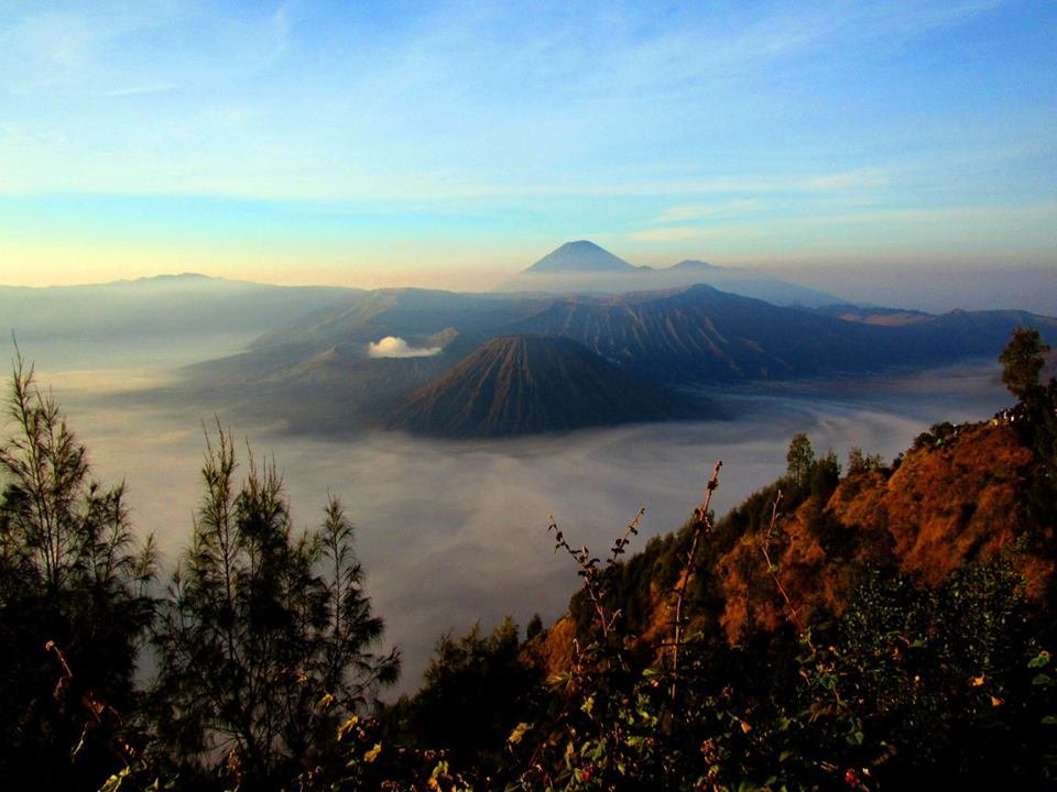 Bromo