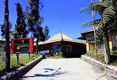 Pilihan Hotel Dan Penginapan Paling Sering Dicari Wisatawan Di Bromo 4 Hotel Bromo Permai 1