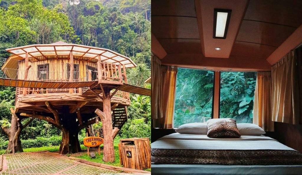 Plataran Puncak, Penginapan Dengan Nuansa Alam Di Puncak Bogor 4 Penginapan Dengan Nuansa Alam Di Puncak Bogor