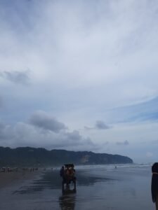 Naik Delman di Parangtritis