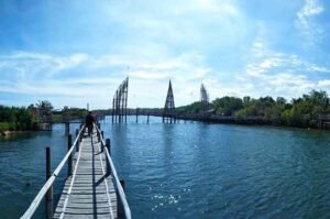 Pantai Congot, Keindahan Pantai Nelayan dan Area Memancing yang Menyenangkan 2 Pantai Congot, Keindahan Pantai Nelayan dan Area Memancing yang Menyenangkan