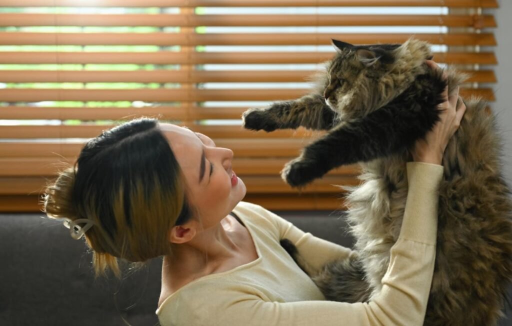 cat two min