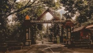 Desa Wisata Adat Using Kemiren : Tempat Mengagumi Keindahan Budaya dan Alam di Banyuwangi 7 Desa Wisata Adat Using Kemiren