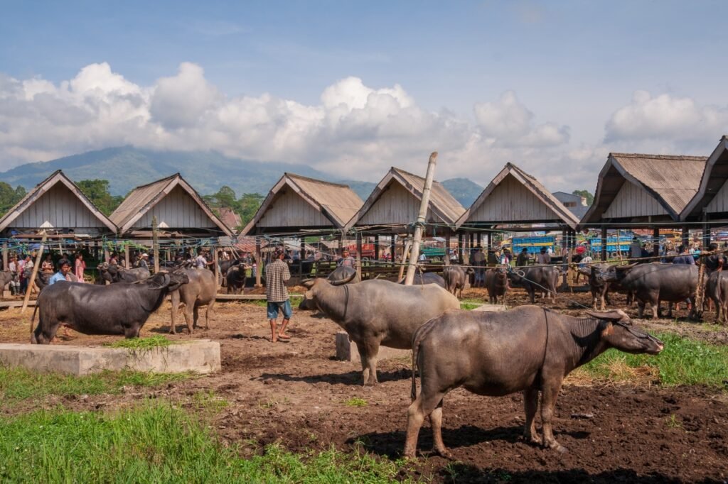 Pasar Bolu dan Makale