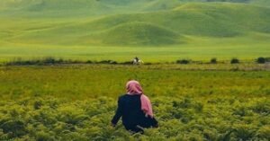 Savana dan Bukit Teletubbies di Gunung Bromo : Pemandangan Padang Rumput yang Menakjubkan 5 Savana dan Bukit Teletubbies di Gunung Bromo