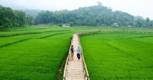 Wisata Persawahan Songgo Langit 3 Wisata Persawahan Songgo Langit
