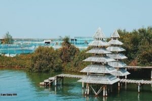 Pantai Congot, Keindahan Pantai Nelayan dan Area Memancing yang Menyenangkan 2 Pantai Congot