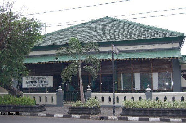 Museum Biologi UGM
