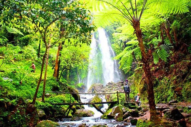 Air Terjun Grojogan Sewu